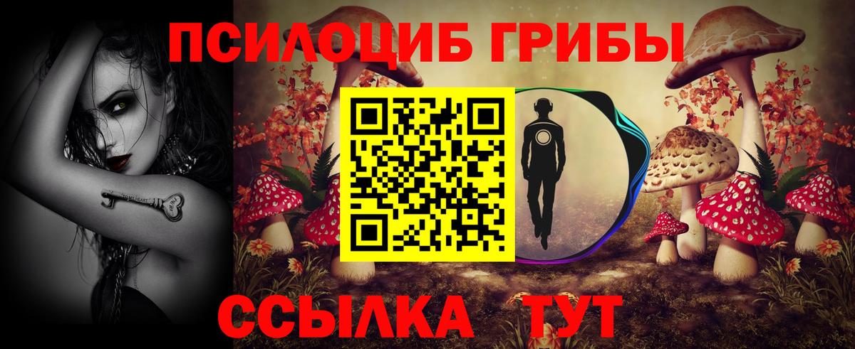 Псилоцибиновые грибы Cubensis  Вход с VPN  Ачинск 